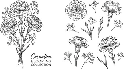Hand drawn black and white carnation blooming flowers collection with elegant line art elements for greeting card wedding invitation vector illustration © Kanon Islam