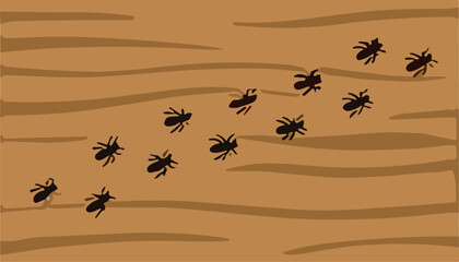 Fototapeta premium Ant Trail and Cooperative Behavior Vector Illustration Featuring Walking Ants, Wooden Surface, Grain Pattern, Curved Path, and Organized Movement for Nature and Science Design Projects