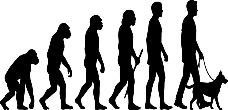 Evolution of man silhouette progression ending with modern human walking dog, humorous concept, artistic vector, creative timeline illustration