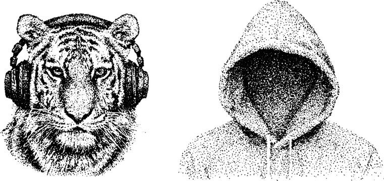 Tiger wearing headphones and empty hoodie on white background