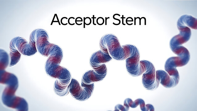 Detailed illustration of a DNA double helix structure with purple and red twisted strands and gradient background  scientific concept