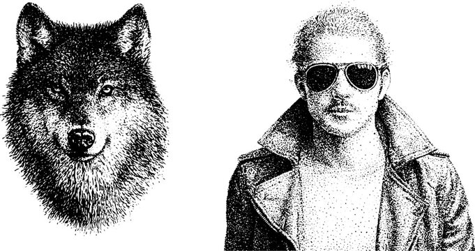 Wolf portrait beside man wearing sunglasses in studio layout