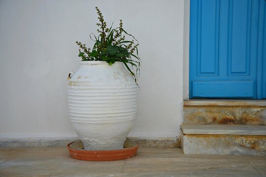 Old traditional rural house facade with a light blue wooden door, marble  steps and a white clay urn with plant in Amorgos island, Cyclades Greece.