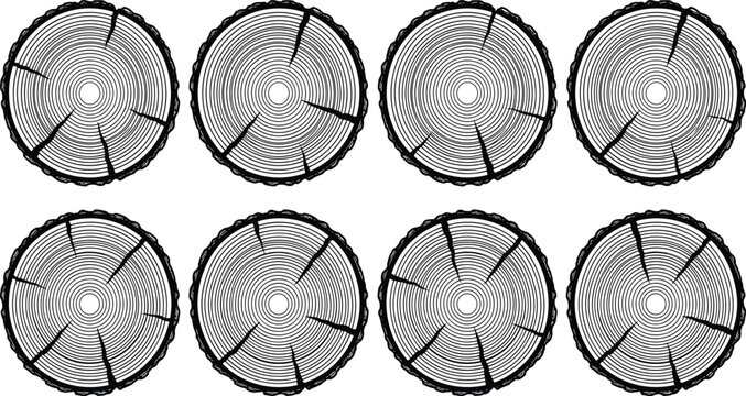 Tree rings wood texture illustration featuring cross sections of timber logs on white background