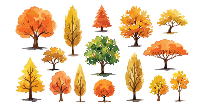 Autumn trees vector watercolor illustration set. Colorful fall foliage foliage, orange oaks, yellow poplars, green maples, pines and seasonal forest landscape design elements.