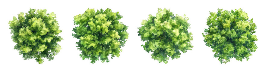 Obraz premium PNG Lush green bushes aligned beautifully on transparent background