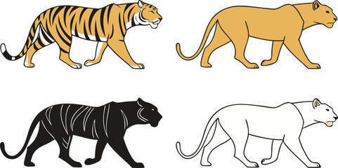 Big cat vector illustration set featuring walking profile views of a striped tiger cougar black panther and white lionessBig cat vector illustration set featuring walking profile views of a striped ti © MdAnowar