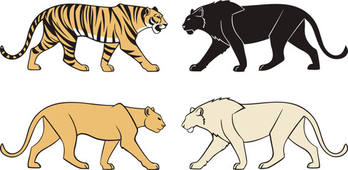 Big cat vector illustration set featuring walking side profile views of a striped tiger black panther cougar and white lionBig cat vector illustration set featuring walking side profile views of a str © MdAnowar