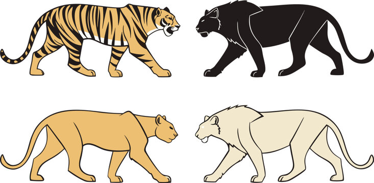 Big cat vector illustration set featuring walking side profile views of a striped tiger black panther cougar and white lionBig cat vector illustration set featuring walking side profile views of a str