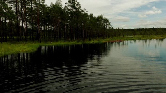 Two little sisters play with water in Swamp Field In Viru Raba in Lahemaa, Estonia.