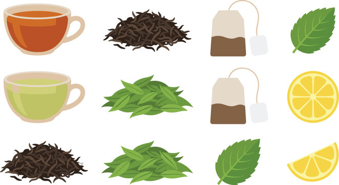 Green and Black Tea Vector Illustration Set with Ceramic Cups, Loose Dried Leaves, Herbal Teabags, Fresh Mint, and Lemon Slices for Caf&eacute; Branding