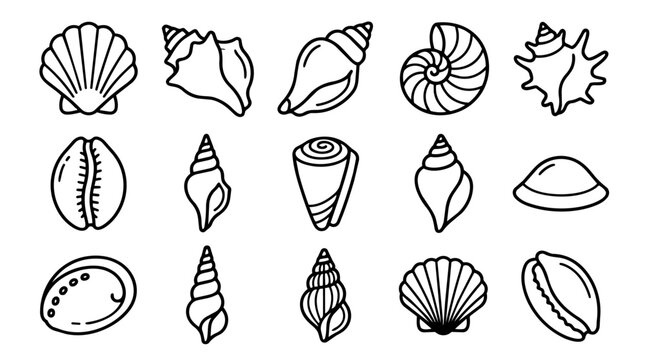 Set of hand-drawn marine seashells outline icons