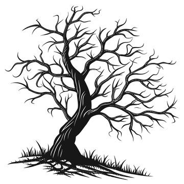 Silhouette illustration of a leafless deciduous tree in winter season with detailed gnarled branches and trunk texture standing on grassy ground