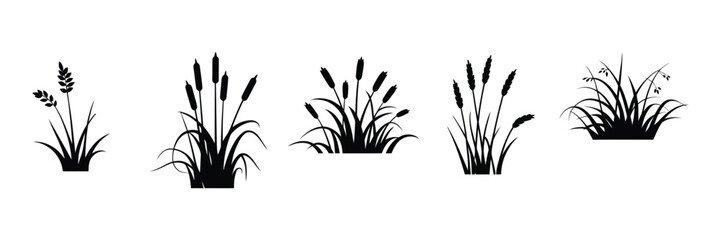 Decorative grass silhouette vector set, modern black botanical elements for landscaping garden decoration and natural graphic projects. © Gary D. Marlow