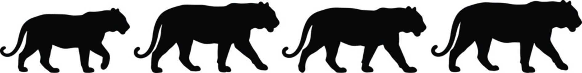 Four black silhouettes of big cats walking in a row, isolated on white background, feline © Sojib Patuary