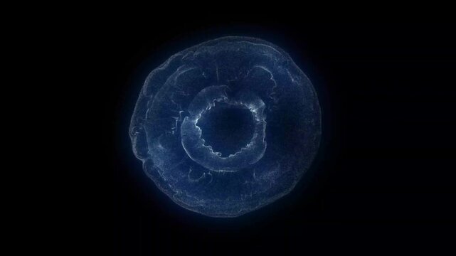 Dynamic collection of blue energy impacts electric shockwave and abstract light particles animation on black background.