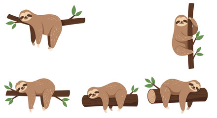 Fototapeta premium Adorable three-toed sloth is shown in various relaxed poses as it hangs from branches, climbs, and sleeps peacefully in a tropical habitat.