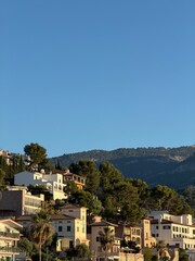 Obraz premium Sunlit hillside villas and Mediterranean homes nestled among dense pine forests in Port de Soller, showcasing the tranquil mountain-meets-sea charm of Mallorca, Spain.