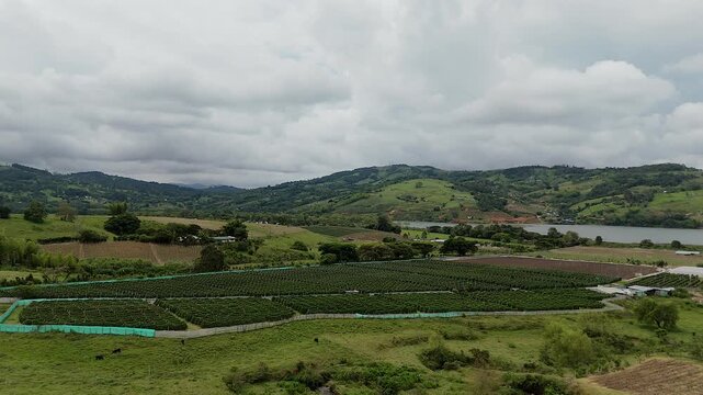 aerial view of agricultural fields and plantations near a scenic lake calima colombia surrounded by green rolling hills