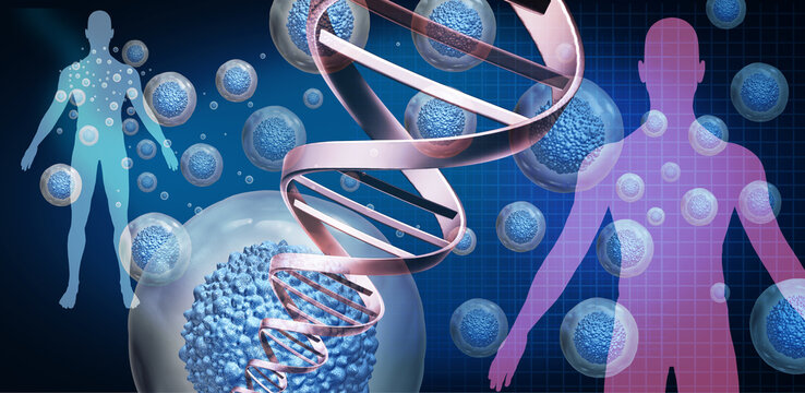 Allogeneic cell therapy as an innovative medical treatment using mass produced gene edited cells from healthy donors to provide patients with an immediate  cure against complex diseases as cancer as a