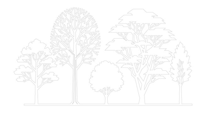 Minimalist tree line art vector, architectural landscape elevation of various forest trees, thin white outline nature silhouettes on white background
