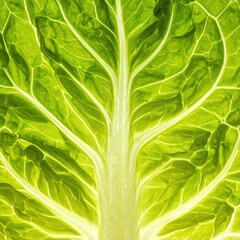 Fototapeta premium Close-up of luminous green leaf veins, backlit for organic texture