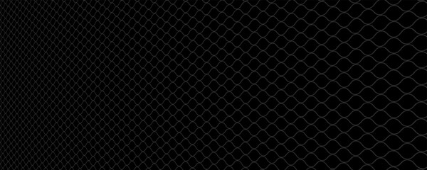 Fishing or soccer net. Repeated hexagon pattern. Black wired mesh texture isolated on white background.ilustrasion modern. © PECAH