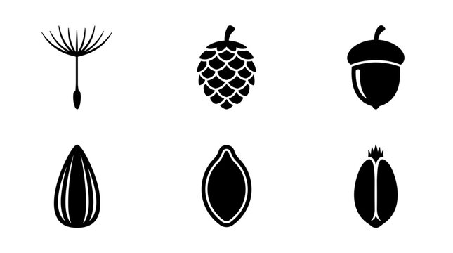 Collection of six different seed and plant part icons in black and white on a white background