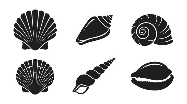 Collection of six black and white seashell icons on a white background