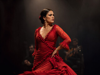 Fototapeta premium Elegant Flamenco Dancer in Red Dress Performing on Dark Stage