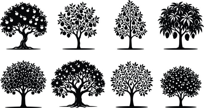 Fruit tree silhouette collection, apple pear mango orchard illustration, botanical diversity design, nature foliage vector art, farming agriculture concept, educational plant reference