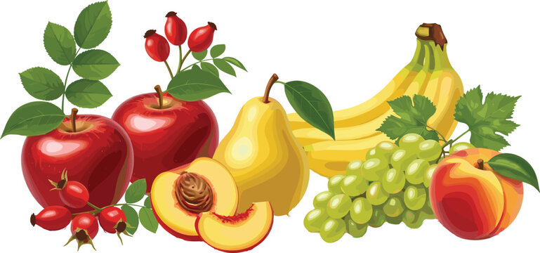 Fresh Fruit Collection with Apples Pear Banana Grapes Peach and Rose Hips Vector Illustration Set