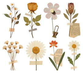 Fototapeta na wymiar PNG Vintage floral collage with tape on transparent background