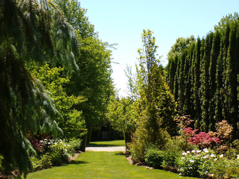 Summer landscape with trees and flowers in the park