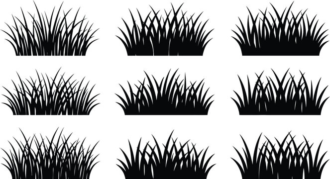 Grass silhouettes collection black vector illustration on white background
