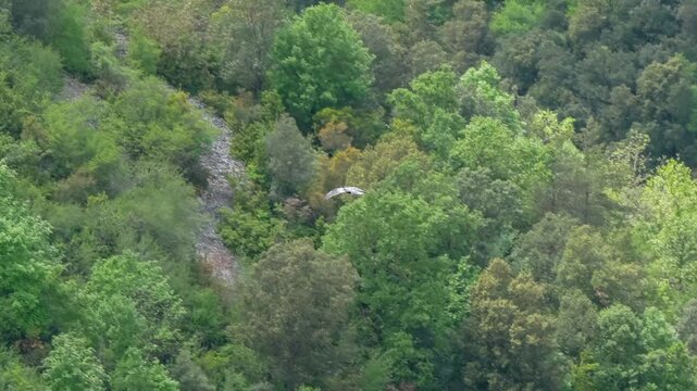 close-up of a common raven (Corvus Corax) glistening in sunshine flying over a large rocky canyon