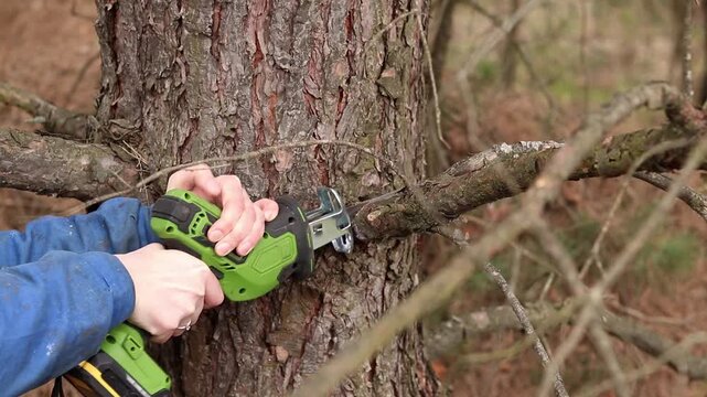 Woman cuts dry tree branch with cordless reciprocating saw in garden. Close-up of process of sawing wood with electric reciprocating saw. Removing old branches with portable cordless saw