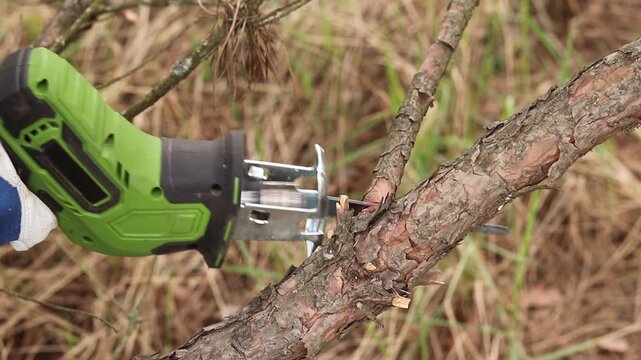 Woman cuts dry tree branch with cordless reciprocating saw in garden. Close-up of process of sawing wood with electric reciprocating saw. Removing old branches with portable cordless saw