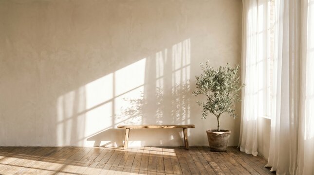 Wooden bench and potted olive tree in a minimalist room with sunlight streaming through a window onto a textured wall and rustic wooden floor