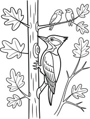 Fototapeta premium Woodpecker climbing a tree trunk with 2 small birds on an oak branch, nature scene coloring book page and black and white in outline style