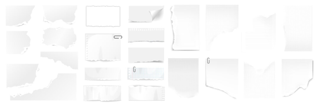 Collection of various torn paper notes and scraps in multiple shapes and textures. Blank white sheets with ripped edges and different grid or lined surfaces on transparent background.