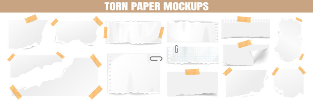 Assorted torn paper pieces with ripped edges and curled corners arranged in a set. Blank sheets with taped corners and lined notes are presented on transparent background.