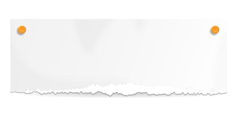 White rectangular paper with rough torn lower edge and two orange pushpins holding the top corners. Blank note with subtle shadow on transparent background.