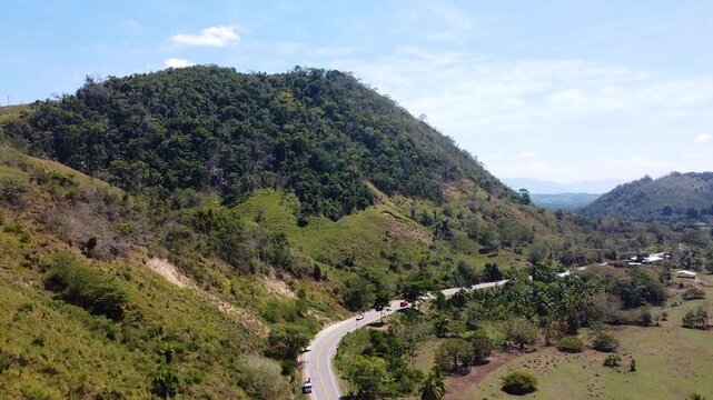 Carretera junto a vegetaci&oacute;n