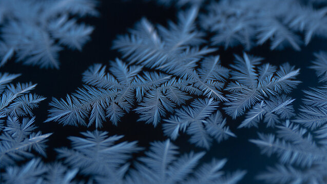 Intricate macro frost pattern on glass window with crystals background geometry delicate seasonal freezing crystalline artistic abstract structure condensed atmospheric environment