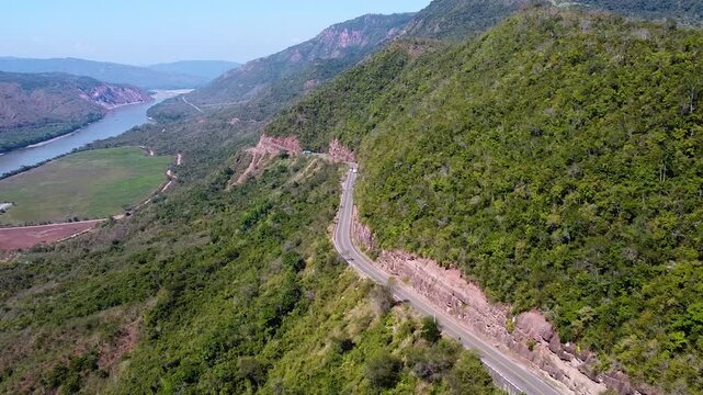 Bosque junto a carretera
