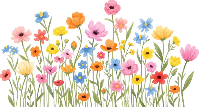Watercolor wildflower meadow arrangement floral design illustration