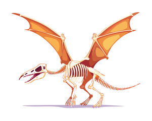 Prehistoric pterodactyl dinosaur skeleton fossil vector illustration with large wide wingspan bones for ancient history and paleontology museum graphics assets © firstcolor