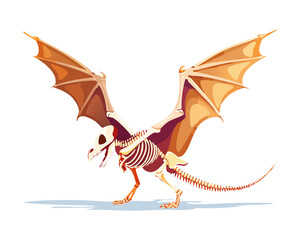Flying pterodactyl dinosaur skeleton bone fossil vector illustration for historic education textbook graphics and museum archaeological collection displays assets © firstcolor