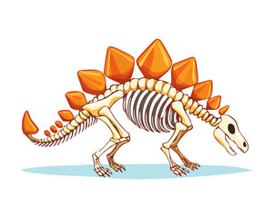 Complete stegosaurus skeleton fossil illustration showing clear bone structures and dorsal plates for paleontology enthusiasts and science museum education graphics © firstcolor